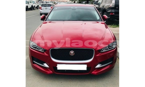 Buy Import Jaguar XE Red Car in Import - Dubai in Attapeu Province