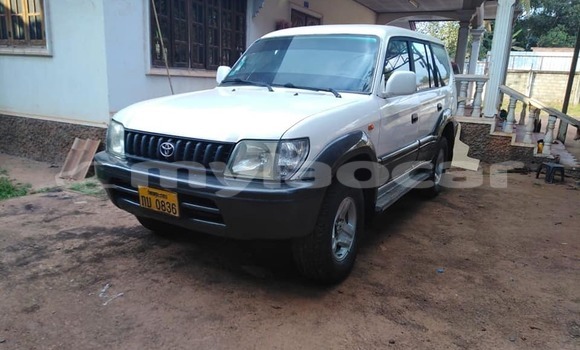 Buy Used Toyota Land Cruiser Prado White Car in Vientiane in Vientiane Province