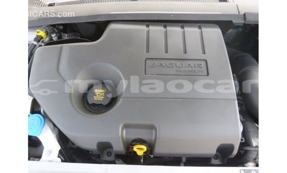 Buy Import Jaguar E-Pace White Car in Import - Dubai in Attapeu Province Buy Import Jaguar E-Pace White Car in Import - Dubai in Attapeu Province