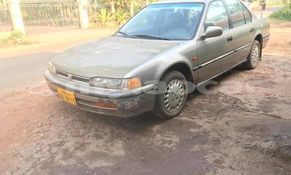 Buy Used Honda Accord Brown Car in Vientiane in Vientiane Province
