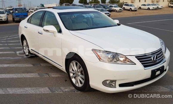 Buy Import Lexus ES White Car in Import - Dubai in Attapeu Province Buy Import Lexus ES White Car in Import - Dubai in Attapeu Province