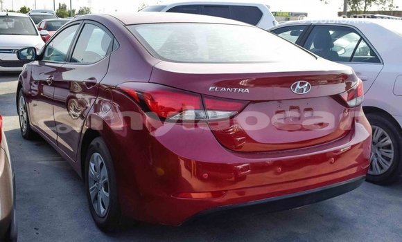 Buy Import Hyundai Elantra Red Car in Import - Dubai in Attapeu Province Buy Import Hyundai Elantra Red Car in Import - Dubai in Attapeu Province