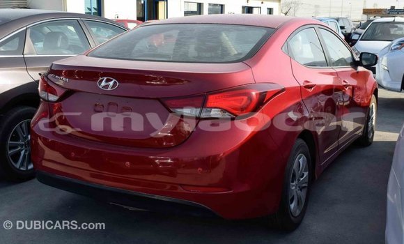 Buy Import Hyundai Elantra Red Car in Import - Dubai in Attapeu Province Buy Import Hyundai Elantra Red Car in Import - Dubai in Attapeu Province