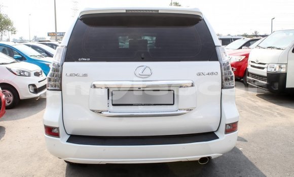 ຊື້ ການ ນຳ ເຂົ້າ Lexus GX White ລົດ ໃນ Import - Dubai ໃນ Attapeu Province ຊື້ ການ ນຳ ເຂົ້າ Lexus GX White ລົດ ໃນ Import - Dubai ໃນ Attapeu Province