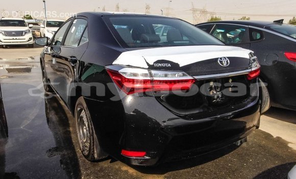 Buy Import Toyota Corolla Black Car in Import - Dubai in Attapeu Province Buy Import Toyota Corolla Black Car in Import - Dubai in Attapeu Province
