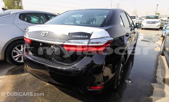 Buy Import Toyota Corolla Black Car in Import - Dubai in Attapeu Province Buy Import Toyota Corolla Black Car in Import - Dubai in Attapeu Province