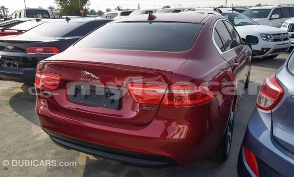 Buy Import Jaguar XE Red Car in Import - Dubai in Attapeu Province Buy Import Jaguar XE Red Car in Import - Dubai in Attapeu Province