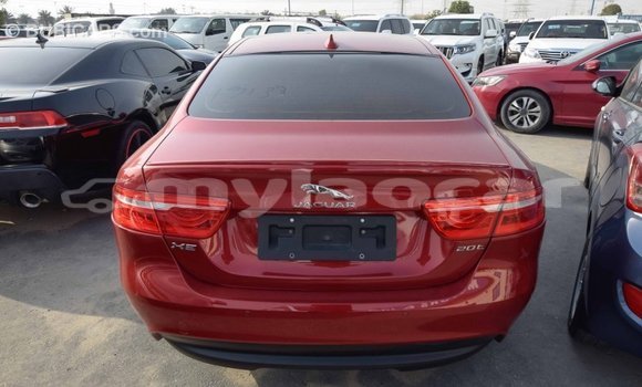 Buy Import Jaguar XE Red Car in Import - Dubai in Attapeu Province Buy Import Jaguar XE Red Car in Import - Dubai in Attapeu Province