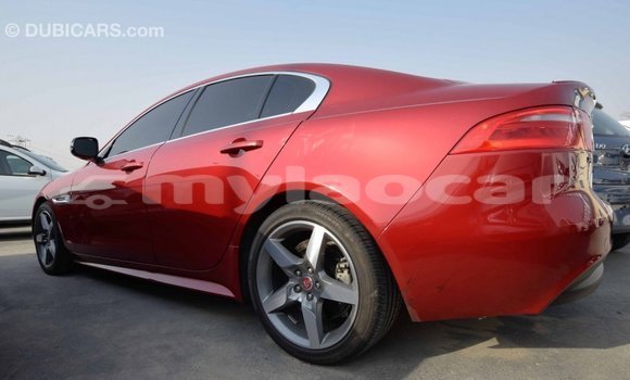 Buy Import Jaguar XE Red Car in Import - Dubai in Attapeu Province Buy Import Jaguar XE Red Car in Import - Dubai in Attapeu Province