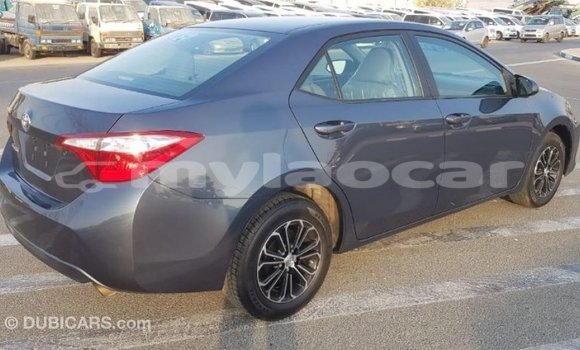 Buy Import Toyota Corolla Other Car in Import - Dubai in Attapeu Province Buy Import Toyota Corolla Other Car in Import - Dubai in Attapeu Province