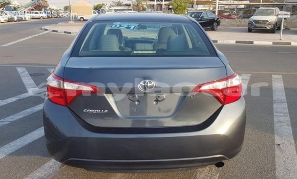 Buy Import Toyota Corolla Other Car in Import - Dubai in Attapeu Province Buy Import Toyota Corolla Other Car in Import - Dubai in Attapeu Province