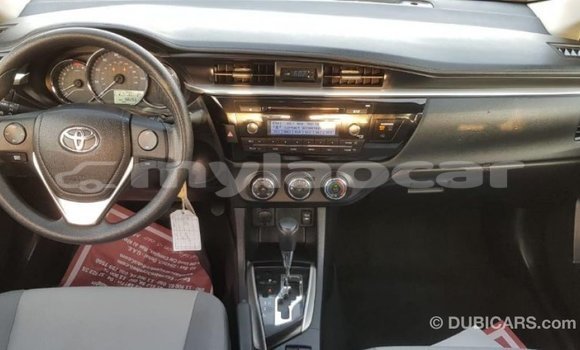 Buy Import Toyota Corolla Other Car in Import - Dubai in Attapeu Province Buy Import Toyota Corolla Other Car in Import - Dubai in Attapeu Province