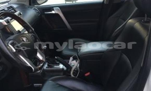 ຊື້ ໃຊ້ແລ້ວ Toyota Land Cruiser Prado White ລົດ ໃນ Vientiane ໃນ Vientiane Province ຊື້ ໃຊ້ແລ້ວ Toyota Land Cruiser Prado White ລົດ ໃນ Vientiane ໃນ Vientiane Province