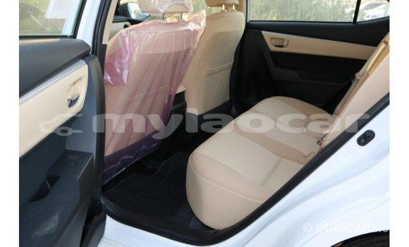 Buy Import Toyota Corolla White Car in Import - Dubai in Attapeu Province Buy Import Toyota Corolla White Car in Import - Dubai in Attapeu Province