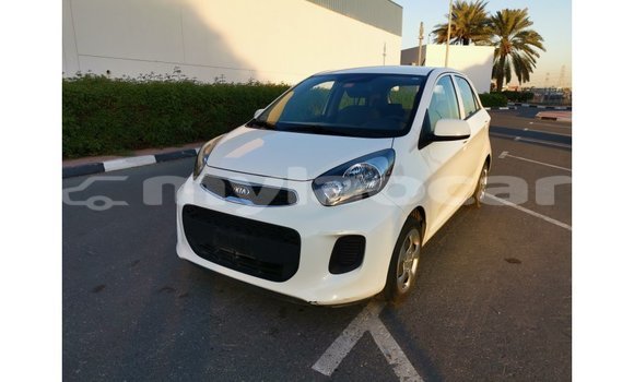 Acheter Import Voiture Kia Picanto Blanc à Import - Dubai, Attapeu Province Acheter Import Voiture Kia Picanto Blanc à Import - Dubai, Attapeu Province
