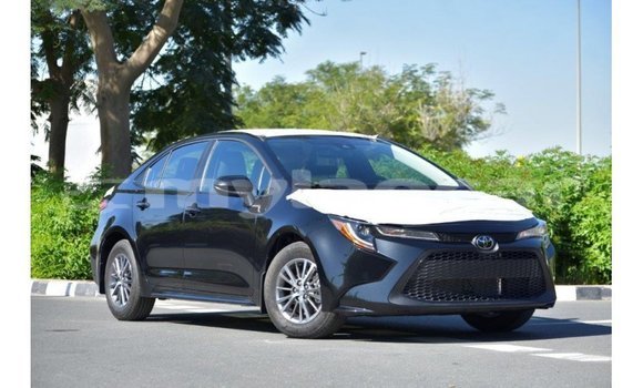 Buy Import Toyota Corolla Black Car in Import - Dubai in Attapeu Province Buy Import Toyota Corolla Black Car in Import - Dubai in Attapeu Province