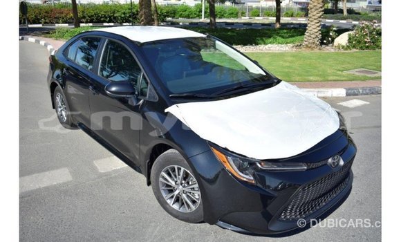 Buy Import Toyota Corolla Black Car in Import - Dubai in Attapeu Province Buy Import Toyota Corolla Black Car in Import - Dubai in Attapeu Province