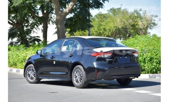 Buy Import Toyota Corolla Black Car in Import - Dubai in Attapeu Province Buy Import Toyota Corolla Black Car in Import - Dubai in Attapeu Province
