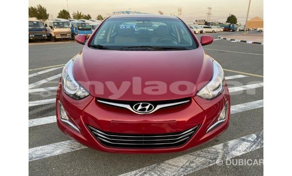 Buy Import Hyundai Elantra Red Car in Import - Dubai in Attapeu Province Buy Import Hyundai Elantra Red Car in Import - Dubai in Attapeu Province