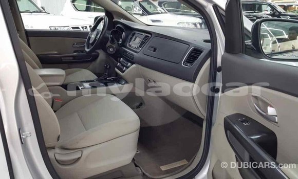 Buy Import Kia Carnival Other Car in Import - Dubai in Attapeu Province Buy Import Kia Carnival Other Car in Import - Dubai in Attapeu Province