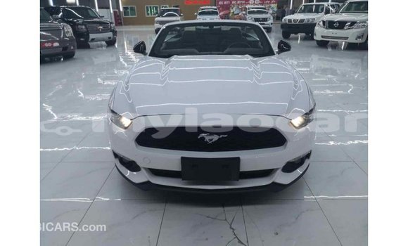Buy Import Ford Mustang White Car in Import - Dubai in Attapeu Province Buy Import Ford Mustang White Car in Import - Dubai in Attapeu Province