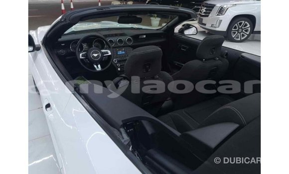 Buy Import Ford Mustang White Car in Import - Dubai in Attapeu Province Buy Import Ford Mustang White Car in Import - Dubai in Attapeu Province