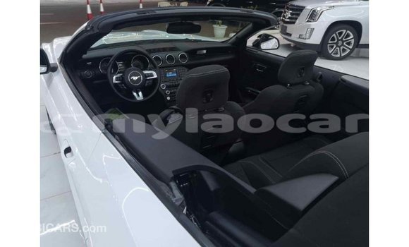 Buy Import Ford Mustang White Car in Import - Dubai in Attapeu Province Buy Import Ford Mustang White Car in Import - Dubai in Attapeu Province