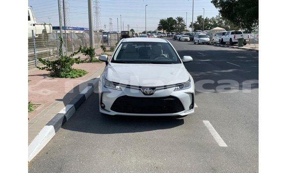 Buy Import Toyota Corolla White Car in Import - Dubai in Attapeu Province Buy Import Toyota Corolla White Car in Import - Dubai in Attapeu Province