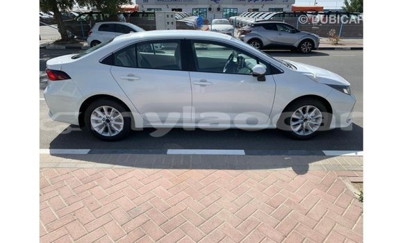 Buy Import Toyota Corolla White Car in Import - Dubai in Attapeu Province Buy Import Toyota Corolla White Car in Import - Dubai in Attapeu Province