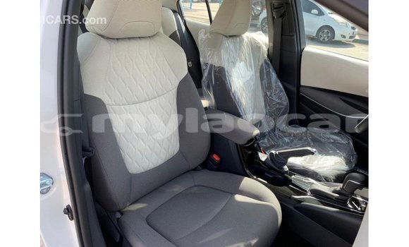 Buy Import Toyota Corolla White Car in Import - Dubai in Attapeu Province Buy Import Toyota Corolla White Car in Import - Dubai in Attapeu Province