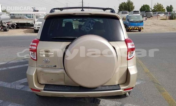 Buy Import Toyota RAV4 Other Car in Import - Dubai in Attapeu Province Buy Import Toyota RAV4 Other Car in Import - Dubai in Attapeu Province