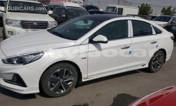 ຊື້ ການ ນຳ ເຂົ້າ Hyundai Sonata White ລົດ ໃນ Import - Dubai ໃນ Attapeu Province ຊື້ ການ ນຳ ເຂົ້າ Hyundai Sonata White ລົດ ໃນ Import - Dubai ໃນ Attapeu Province