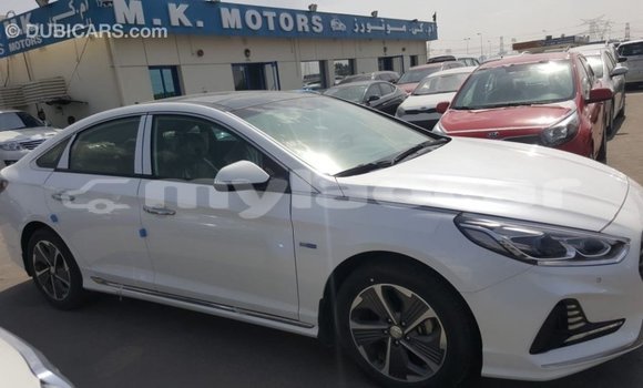 ຊື້ ການ ນຳ ເຂົ້າ Hyundai Sonata White ລົດ ໃນ Import - Dubai ໃນ Attapeu Province ຊື້ ການ ນຳ ເຂົ້າ Hyundai Sonata White ລົດ ໃນ Import - Dubai ໃນ Attapeu Province