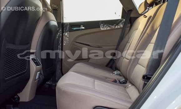 Buy Import Hyundai Tucson White Car in Import - Dubai in Attapeu Province Buy Import Hyundai Tucson White Car in Import - Dubai in Attapeu Province