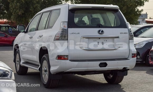 Buy Import Lexus GX White Car in Import - Dubai in Attapeu Province Buy Import Lexus GX White Car in Import - Dubai in Attapeu Province