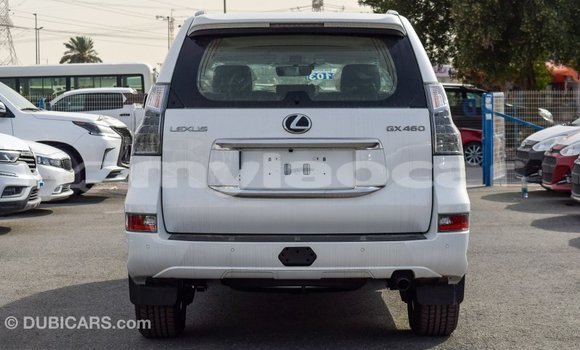 Buy Import Lexus GX White Car in Import - Dubai in Attapeu Province Buy Import Lexus GX White Car in Import - Dubai in Attapeu Province