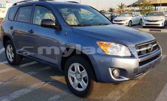 Buy Import Toyota RAV4 Blue Car in Import - Dubai in Attapeu Province Buy Import Toyota RAV4 Blue Car in Import - Dubai in Attapeu Province
