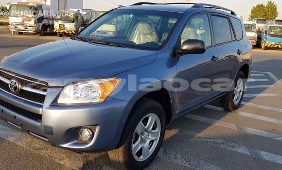 Buy Import Toyota RAV4 Blue Car in Import - Dubai in Attapeu Province Buy Import Toyota RAV4 Blue Car in Import - Dubai in Attapeu Province