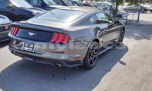 Buy Import Ford Mustang Other Car in Import - Dubai in Attapeu Province Buy Import Ford Mustang Other Car in Import - Dubai in Attapeu Province