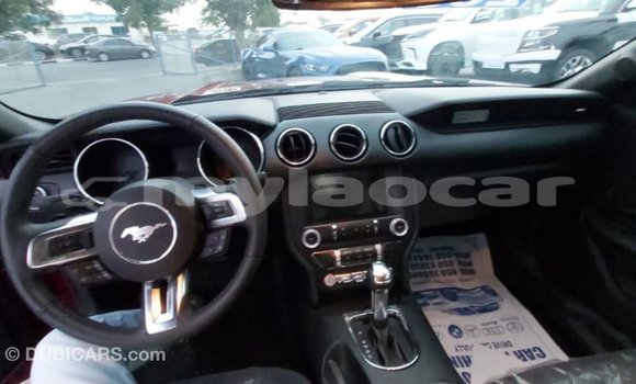 Buy Import Ford Mustang Red Car in Import - Dubai in Attapeu Province Buy Import Ford Mustang Red Car in Import - Dubai in Attapeu Province