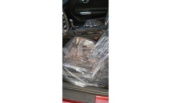 Buy Import Ford Mustang Red Car in Import - Dubai in Attapeu Province Buy Import Ford Mustang Red Car in Import - Dubai in Attapeu Province