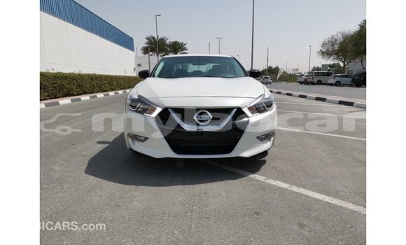 Acheter Import Voiture Nissan Maxima Blanc à Import - Dubai, Attapeu Province Acheter Import Voiture Nissan Maxima Blanc à Import - Dubai, Attapeu Province