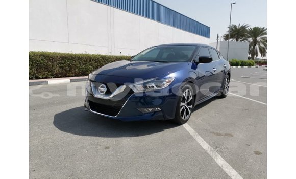Buy Import Nissan Maxima Blue Car in Import - Dubai in Attapeu Province Buy Import Nissan Maxima Blue Car in Import - Dubai in Attapeu Province