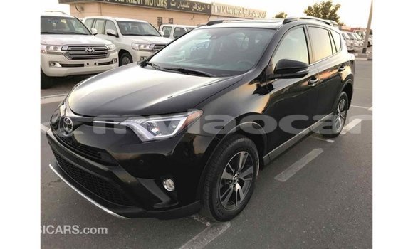 Buy Import Toyota RAV4 Black Car in Import - Dubai in Attapeu Province Buy Import Toyota RAV4 Black Car in Import - Dubai in Attapeu Province