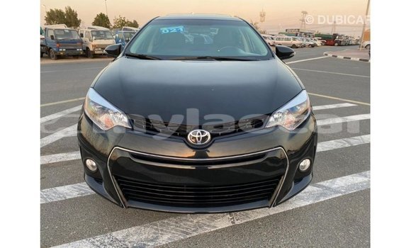 Buy Import Toyota Corolla Black Car in Import - Dubai in Attapeu Province Buy Import Toyota Corolla Black Car in Import - Dubai in Attapeu Province