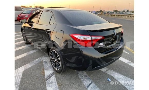 Buy Import Toyota Corolla Black Car in Import - Dubai in Attapeu Province Buy Import Toyota Corolla Black Car in Import - Dubai in Attapeu Province