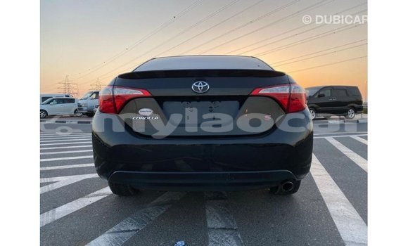 Buy Import Toyota Corolla Black Car in Import - Dubai in Attapeu Province Buy Import Toyota Corolla Black Car in Import - Dubai in Attapeu Province