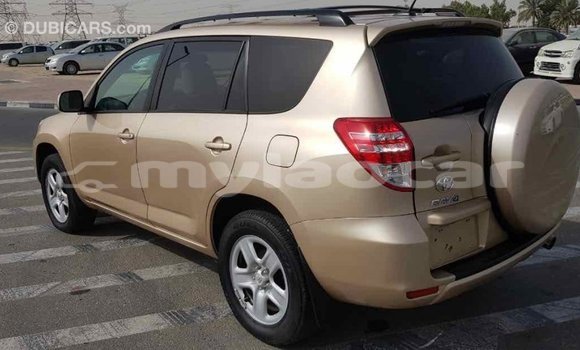 Buy Import Toyota RAV4 Other Car in Import - Dubai in Attapeu Province Buy Import Toyota RAV4 Other Car in Import - Dubai in Attapeu Province