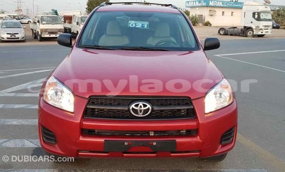 Buy Import Toyota RAV4 Red Car in Import - Dubai in Attapeu Province Buy Import Toyota RAV4 Red Car in Import - Dubai in Attapeu Province