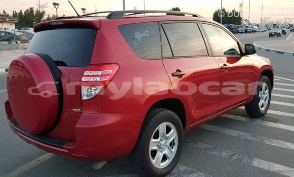 Buy Import Toyota RAV4 Red Car in Import - Dubai in Attapeu Province Buy Import Toyota RAV4 Red Car in Import - Dubai in Attapeu Province
